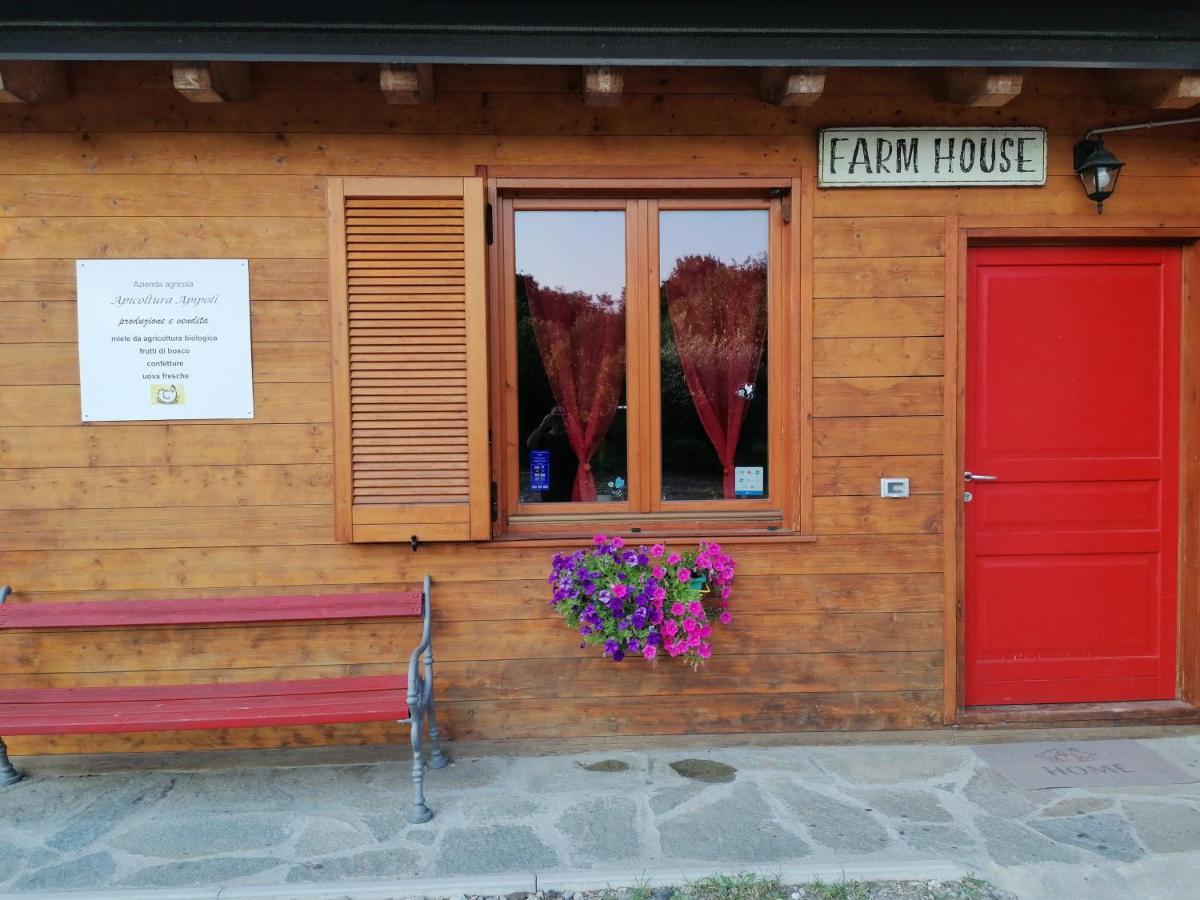 Agriturismo Bio Apipoli Lucino エクステリア 写真